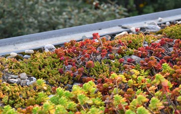 the cost of Lower Holbrook green roof installation