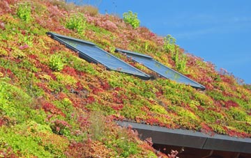 Lower Holbrook living roof systems