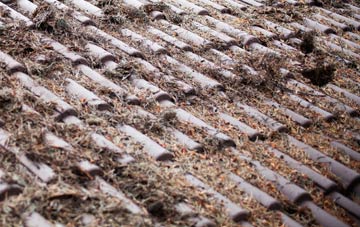 Lower Holbrook roof cleaning companies